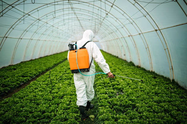 Best Commercial Pest Control Services  in Mountainair, NM