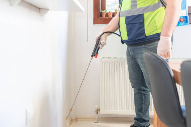 Best Ant Control Services  in Mountainair, NM