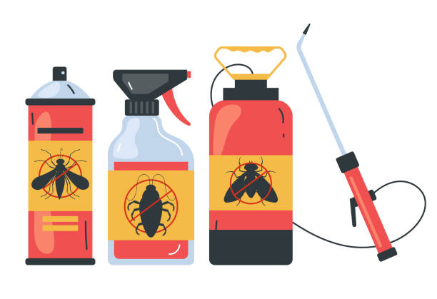 Best Spider Control Near Me  in Mountainair, NM