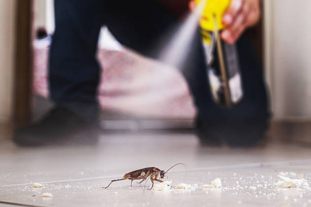 Best Best Pest Control Companies  in Mountainair, NM