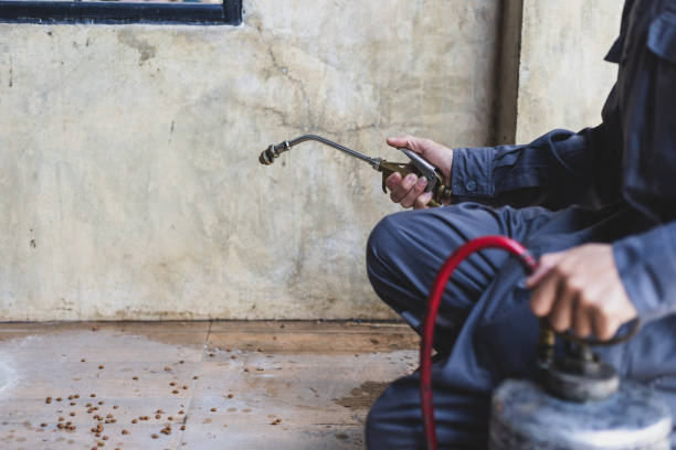 Best Pest Control Near Me  in Mountainair, NM