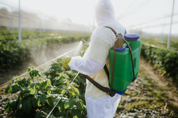 Reliable Mountainair, NM Pest Control Solutions